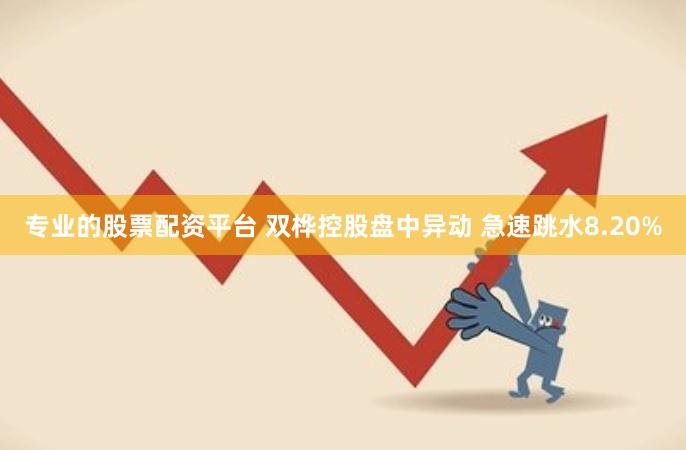 专业的股票配资平台 双桦控股盘中异动 急速跳水8.20%