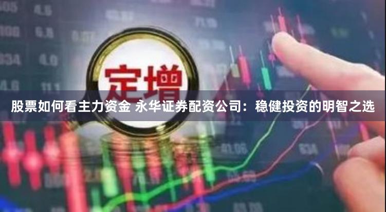 股票如何看主力资金 永华证券配资公司：稳健投资的明智之选